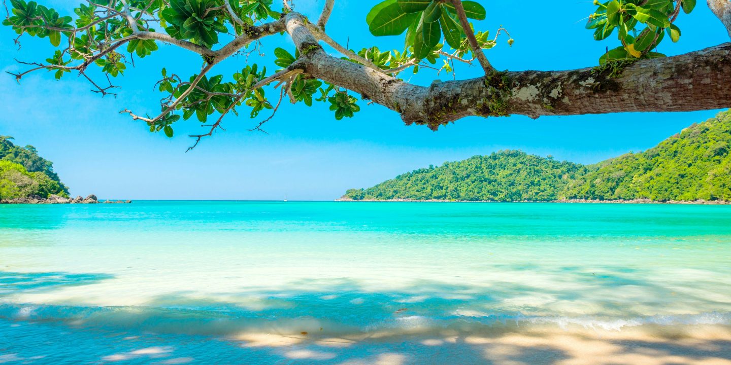 A Night in a Bungalow on the Water